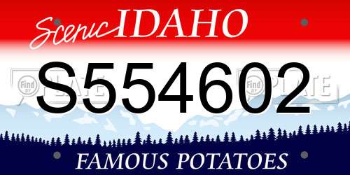 S554602 Idaho License Plate