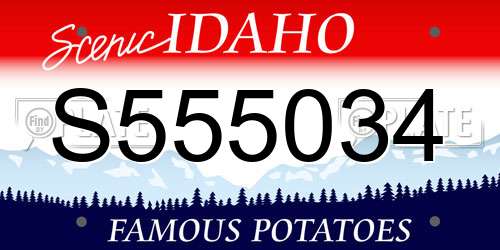 S555034 Idaho License Plate