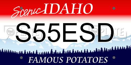 S55ESD Idaho License Plate
