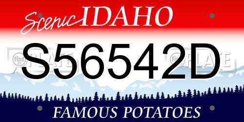 S56542D Idaho License Plate