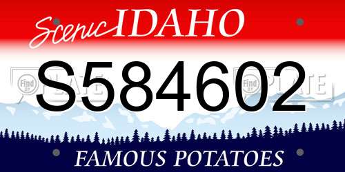 S584602 Idaho License Plate