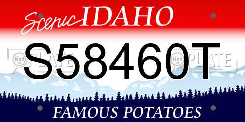 S58460T Idaho License Plate
