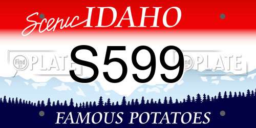 S599 Idaho License Plate