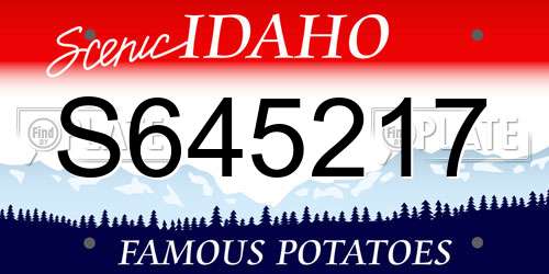 S645217 Idaho License Plate