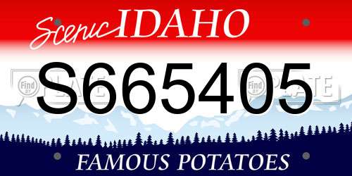 S665405 Idaho License Plate