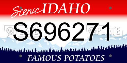 S696271 Idaho License Plate