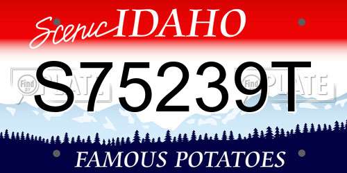 S75239T Idaho License Plate