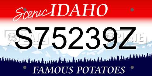 S75239Z Idaho License Plate