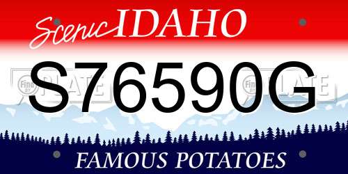 S76590G Idaho License Plate