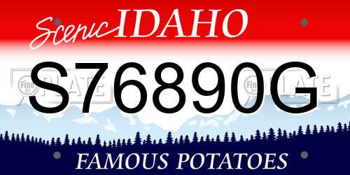 S76890G Idaho License Plate