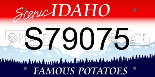 S79075 Idaho License Plate