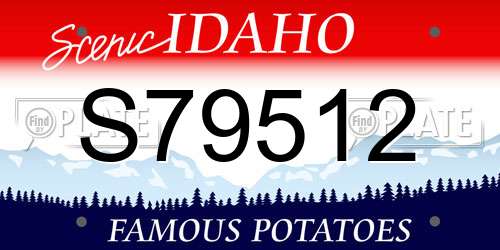 S79512 Idaho License Plate