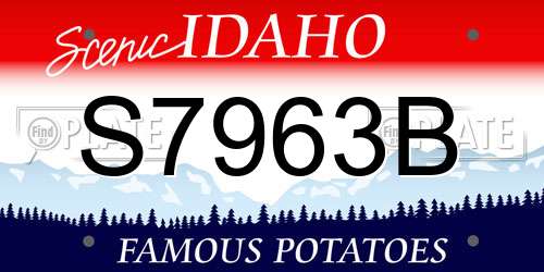 S7963B Idaho License Plate