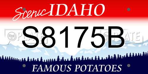S8175B Idaho License Plate
