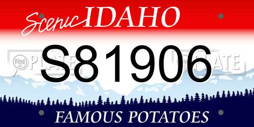 S81906 Idaho License Plate