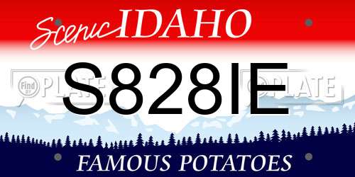 S828IE Idaho License Plate