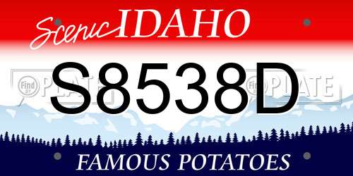 S8538D Idaho License Plate