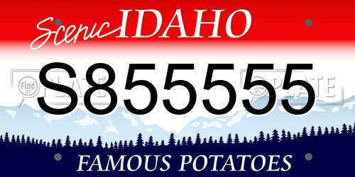 S855555 Idaho License Plate