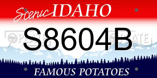S8604B Idaho License Plate