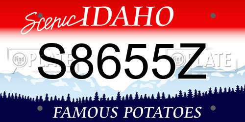 S8655Z Idaho License Plate