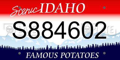 S884602 Idaho License Plate