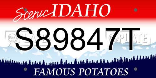 S89847T Idaho License Plate
