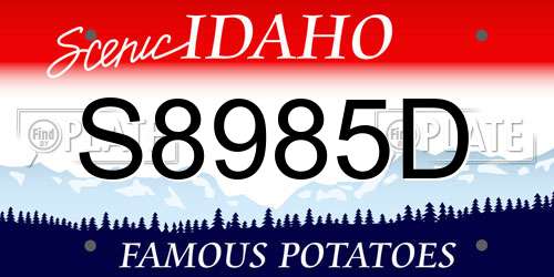 S8985D Idaho License Plate