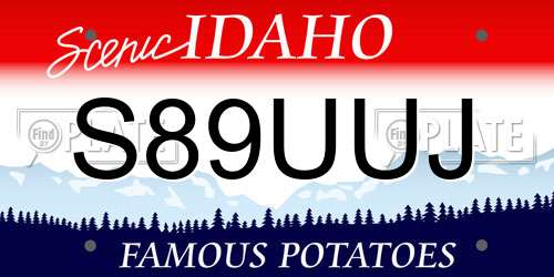 S89UUJ Idaho License Plate