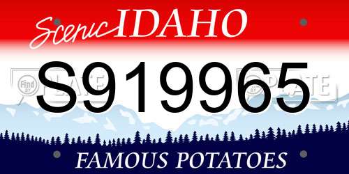 S919965 Idaho License Plate