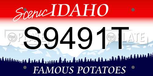 S9491T Idaho License Plate