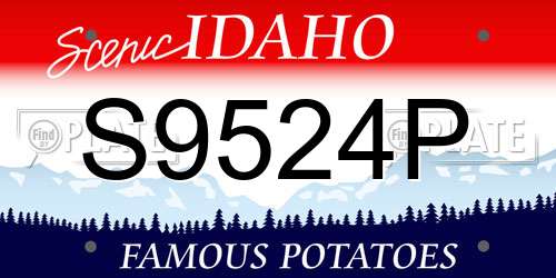 S9524P Idaho License Plate