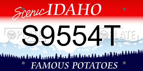 S9554T Idaho License Plate