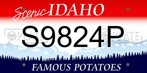 S9824P Idaho License Plate