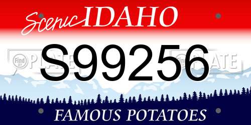 S99256 Idaho License Plate