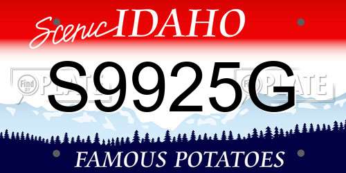 S9925G Idaho License Plate