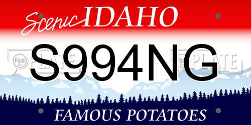 S994NG Idaho License Plate