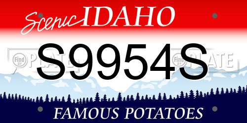 S9954S Idaho License Plate