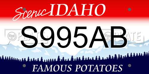 S995AB Idaho License Plate