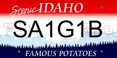 SA1G1B Idaho License Plate