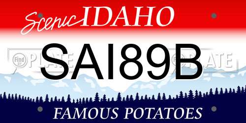 SAI89B Idaho License Plate