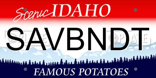 SAVBNDT Idaho License Plate