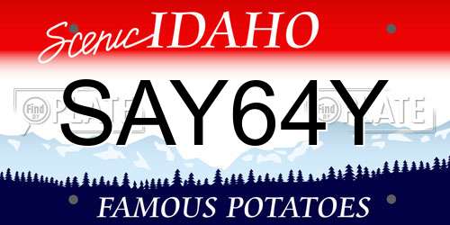SAY64Y Idaho License Plate