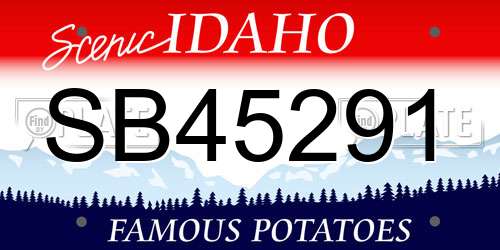 SB45291 Idaho License Plate