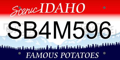 SB4M596 Idaho License Plate