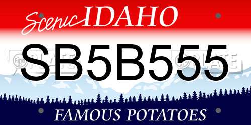 SB5B555 Idaho License Plate