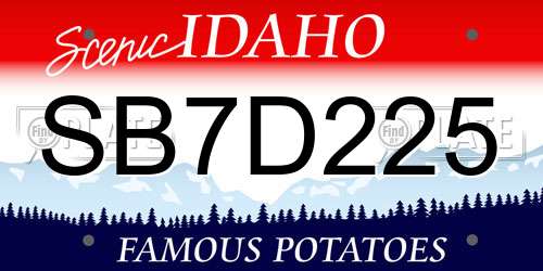 SB7D225 Idaho License Plate