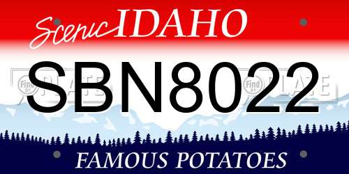 SBN8022 Idaho License Plate
