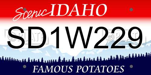 SD1W229 Idaho License Plate