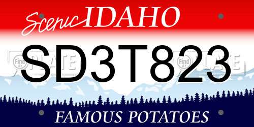 SD3T823 Idaho License Plate