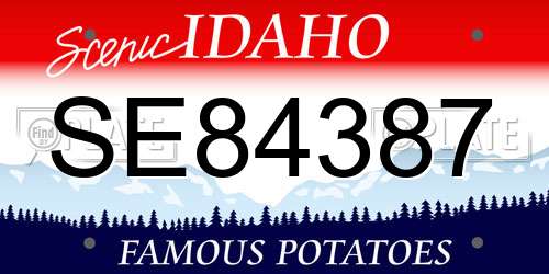 SE84387 Idaho License Plate